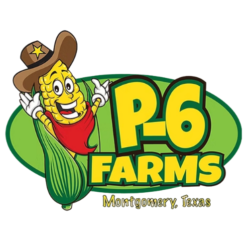 P-6 farm park booking system integration